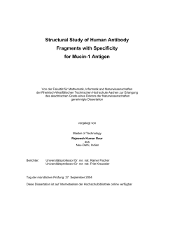 Structural Study of Human Antibody Fragments with Specificity for