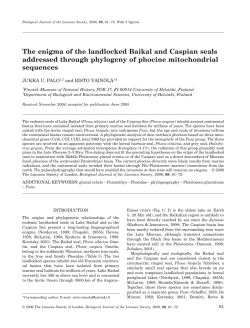 The enigma of the landlocked Baikal and Caspian seals addressed