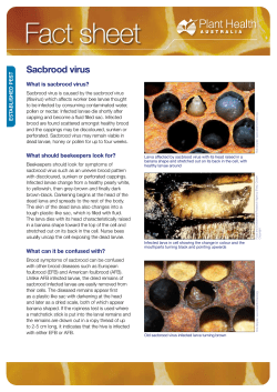 Sacbrood virus - Plant Health Australia