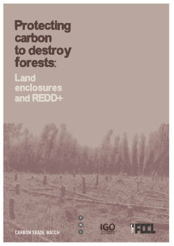 Protecting carbon to destroy forests