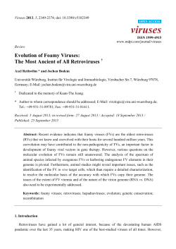 Evolution of Foamy Viruses: