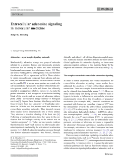 Extracellular adenosine signaling in molecular medicine