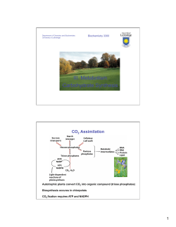 Slides - U of L Class Index