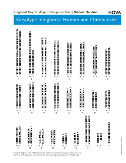 Karyotype Idiograms: Human and Chimpanzee