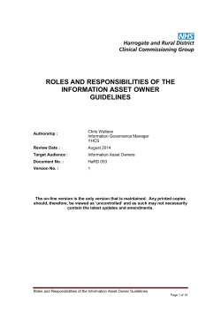 roles and responsibilities of the information asset owner guidelines