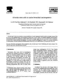 Alveolar stem cells in canine bronchial carcinogenesis