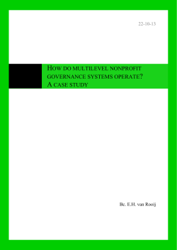 How multilevel nonprofit governance systems operate: A case study