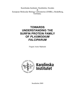 Pdf file, 994 Kb - Karolinska Institutet