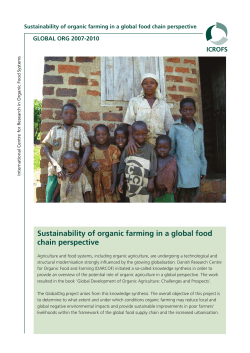 Sustainability of organic farming in a global food chain perspective