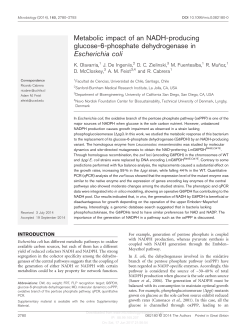 Metabolic impact of an NADH-producing glucose-6