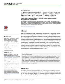 A Theoretical Model of Jigsaw-Puzzle Pattern Formation by Plant