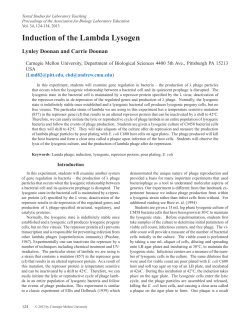 Induction of the Lambda Lysogen
