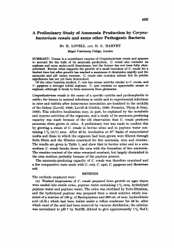 A Preliminary Study of Ammonia Production by Coryne