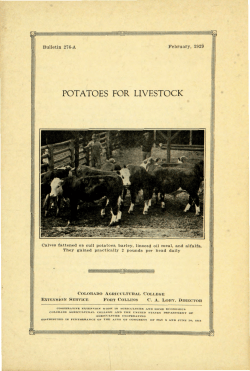 POTATOES FOR LIVESTOCK