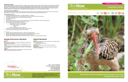 Discover the world of ecosystems and the players involved by