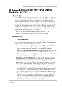 Social and Community Aesthetics Values