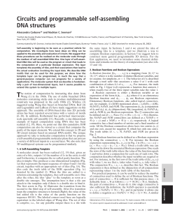 Circuits and programmable self-assembling DNA structures