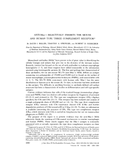 ANTI-Mac-1 SELECTIVELY INHIBITS THE MOUSE AND HUMAN