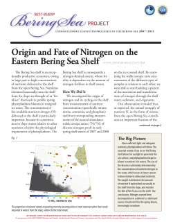 Origin and Fate of Nitrogen on the
