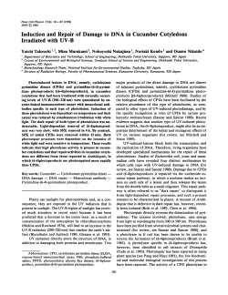 Induction and Repair of Damage to DNA in Cucumber Cotyledons