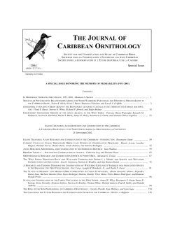 Kevin Burns - warblers