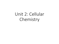 2.1 Presentation: Introduction to Cellular Chemistry