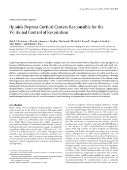 Opioids Depress Cortical Centers Responsible for the