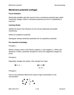Membrane potential (voltage)