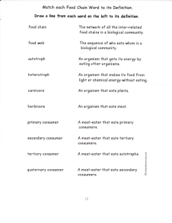 Food Chain Word Definitions