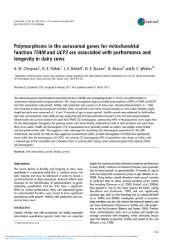 Polymorphisms in the autosomal genes for mitochondrial function