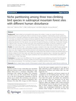 Niche partitioning among three tree