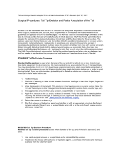 Tail Tip Excision and Partial