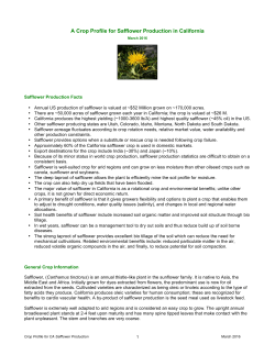 A Crop Profile for Safflower Production in California