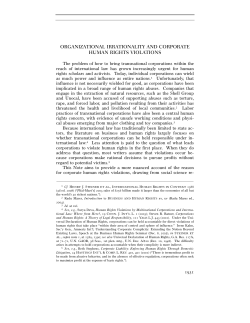 organizational irrationality and corporate human rights violations
