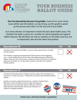 Ballot Guide