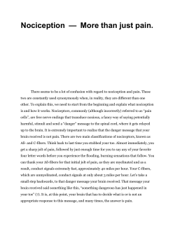 Nociception &mdash; More than just pain.