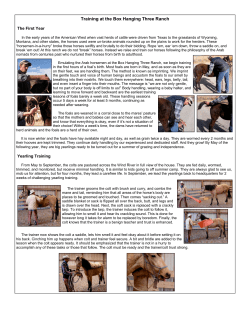 Training at the Box Hanging Three Ranch