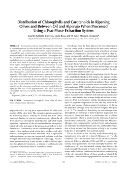 Distribution of chlorophylls and carotenoids in ripening olives and