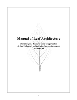 Manual of Leaf Architecture