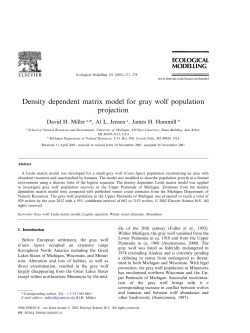Density dependent matrix model for gray wolf population projection