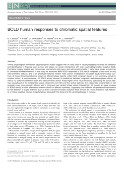 BOLD human responses to chromatic spatial features