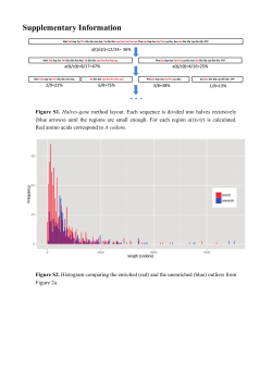Supplementary Information