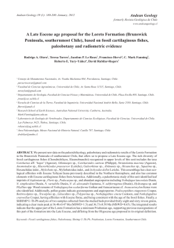 A Late Eocene age proposal for the Loreto Formation