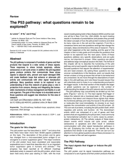 The P53 pathway: what questions remain to be explored?