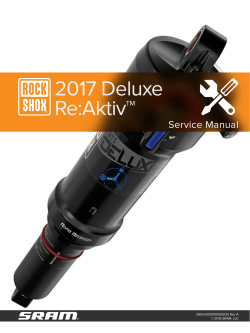 Service Manual 2017 Deluxe ReAktiv Rev A