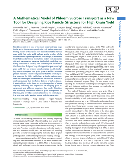 A Mathematical Model of Phloem Sucrose Transport as a New Tool