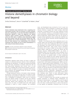 Histone demethylases in chromatin biology and