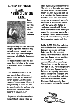 BADGERS AND CLIMATE CHANGE - A STUDY OF