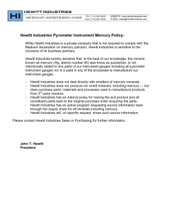 Mercury Minerals Policy