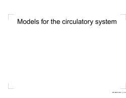 Models for the circulatory system